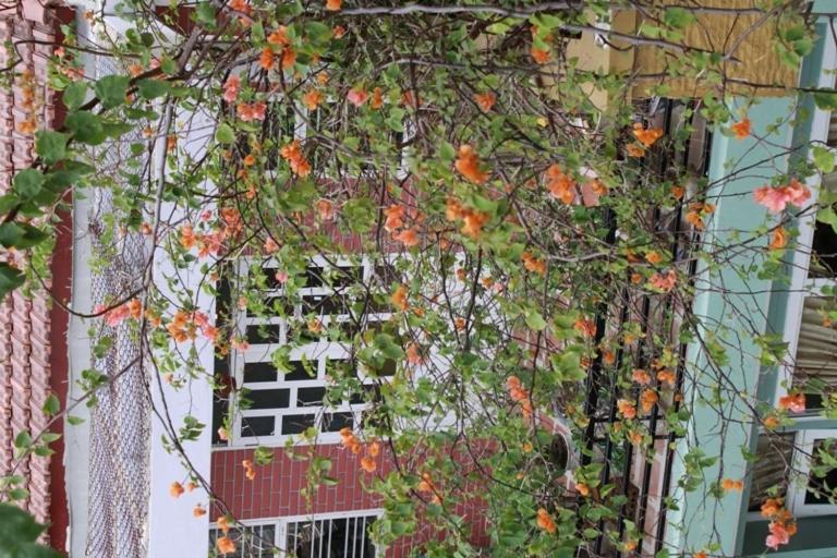 Phong Lan Guesthouse Hue Rom bilde