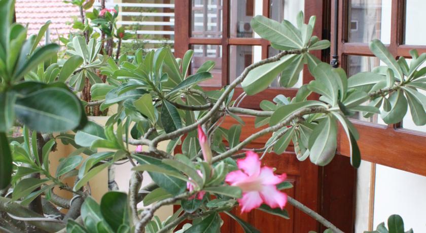 Phong Lan Guesthouse Hue Eksteriør bilde
